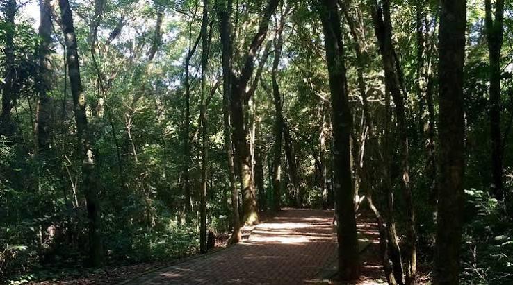 Parque Vitória — foto 1 de 3