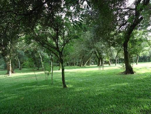 Parque Tarquinio — foto 2 de 3