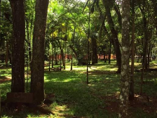 Parque Municipal Danilo Galafassi